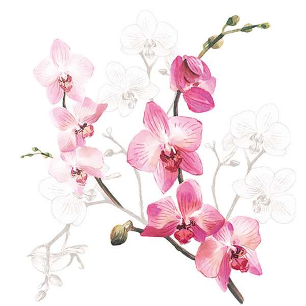 Design-Servietten Orchidee