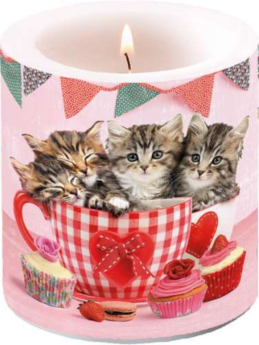 Design-Kerze süße Kätzchen