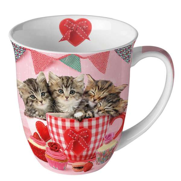 Design-Porzellantasse süße Kätzchen